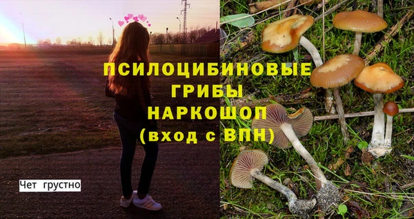 первитин Абаза